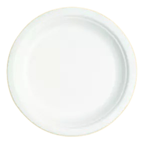 12" BIO PLATE (NATURAL)