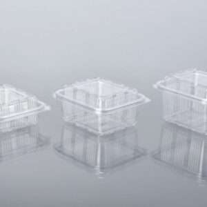 250ML HIGH LID HINGED BOX