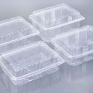 2000ML HIGH LID HINGED BOX