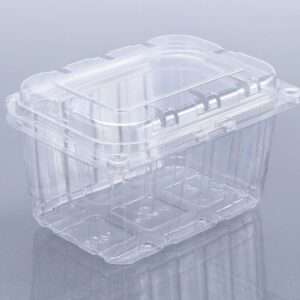 250 GMS PUNNET BOX