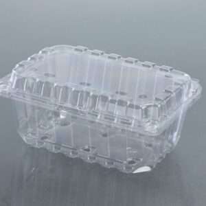 500 GMS PUNNET BOX